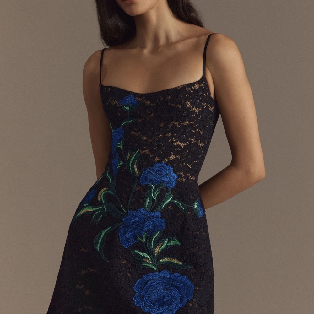 Anthropologie Black and Blue Floral Mini Dress